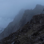 Nella nebbia